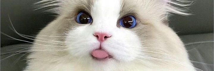 Sel_cif's profile banner image