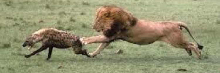 بعيد الهم banner