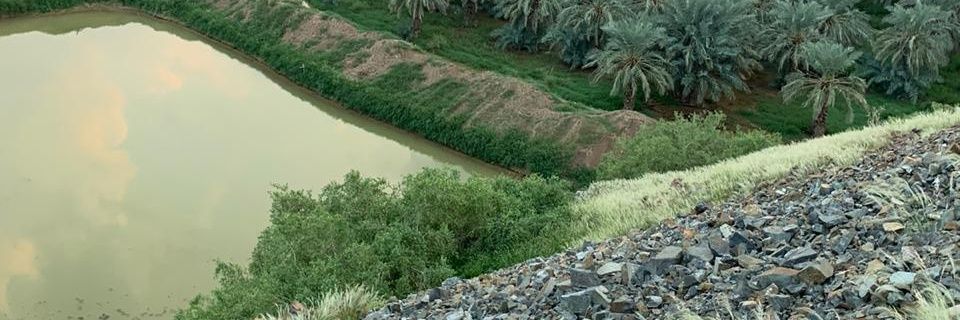 عيسى صلاح المصباحي banner