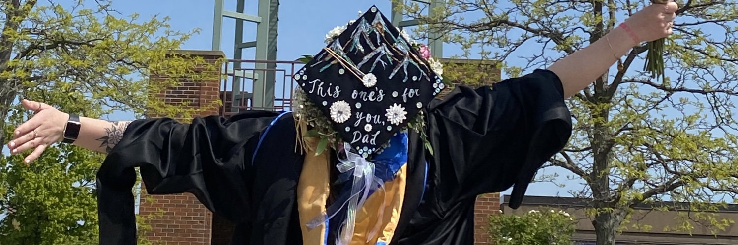 briluthart's profile banner image