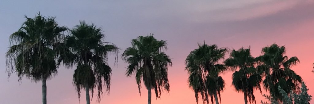 allisonn823's profile banner image