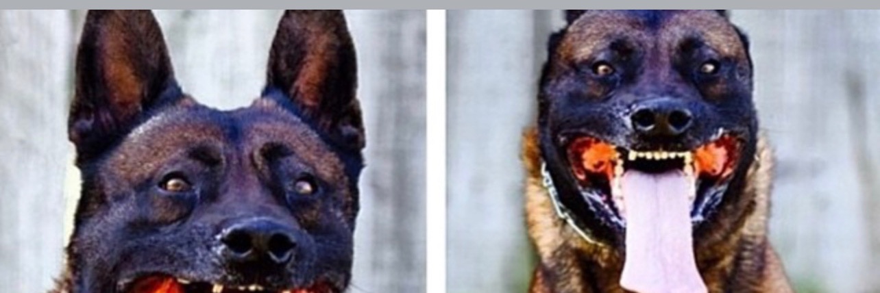 Miljan_j's profile banner image
