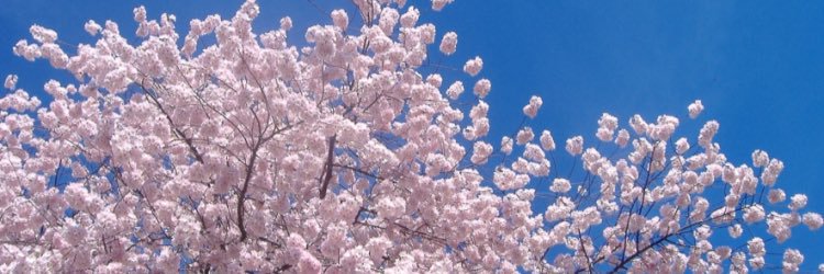 aintdatwasyou's profile banner image