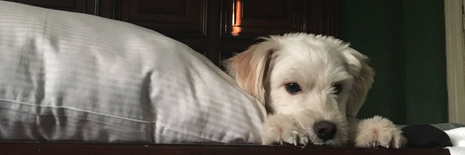 rinileonardo's profile banner image