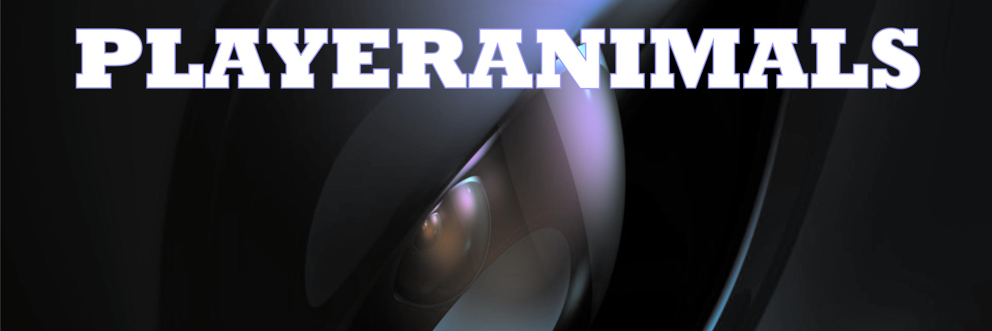 Playeras 4d banner