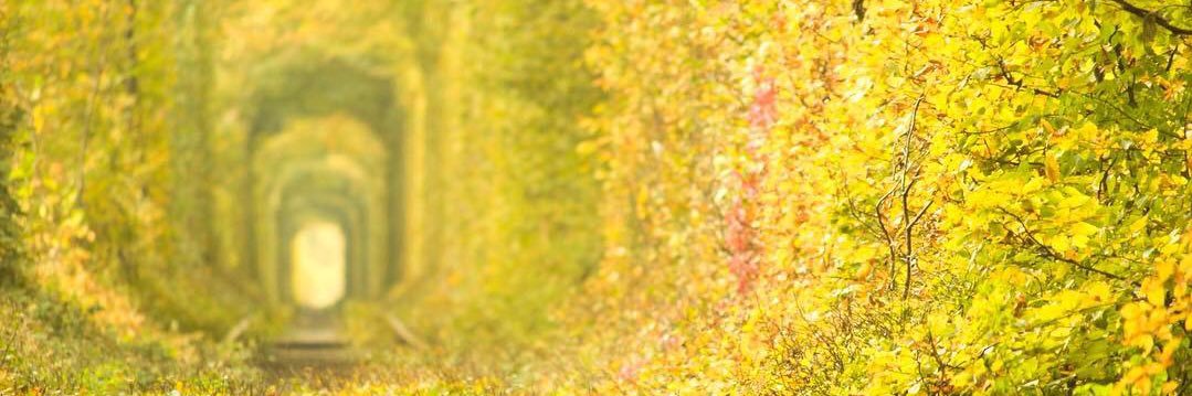 eiten0110's profile banner image