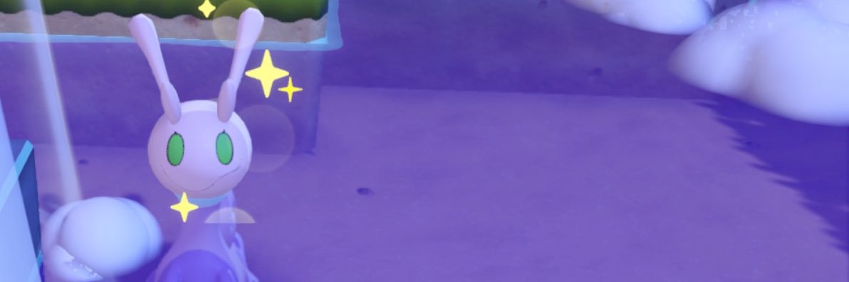 chloeboboe's profile banner image