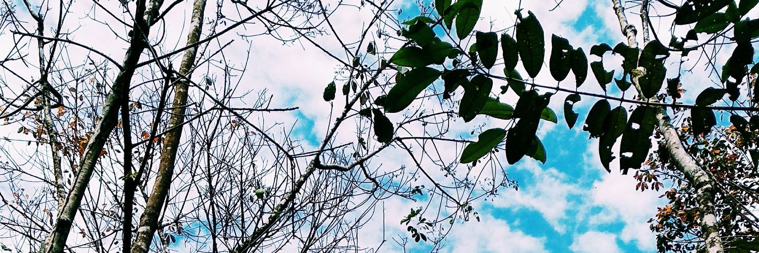 varhatiaulia's profile banner image