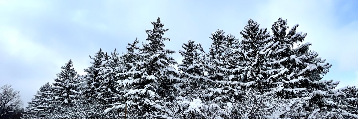 imLOVAINit's profile banner image
