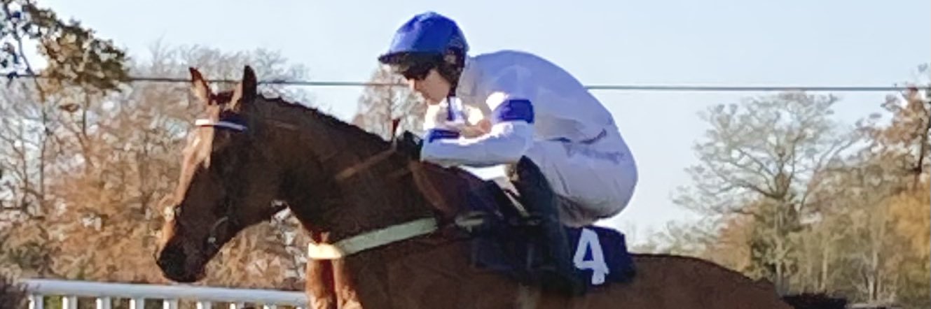 Martin Gander banner