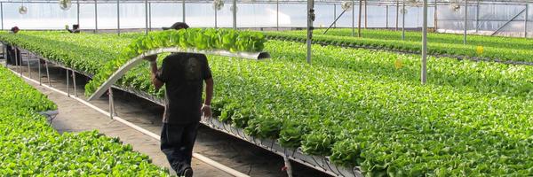 AmHydro Profile Banner