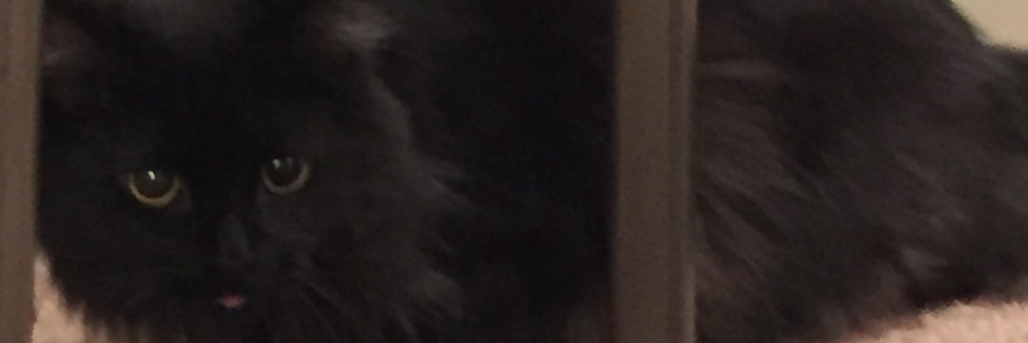 CTchillin's profile banner image