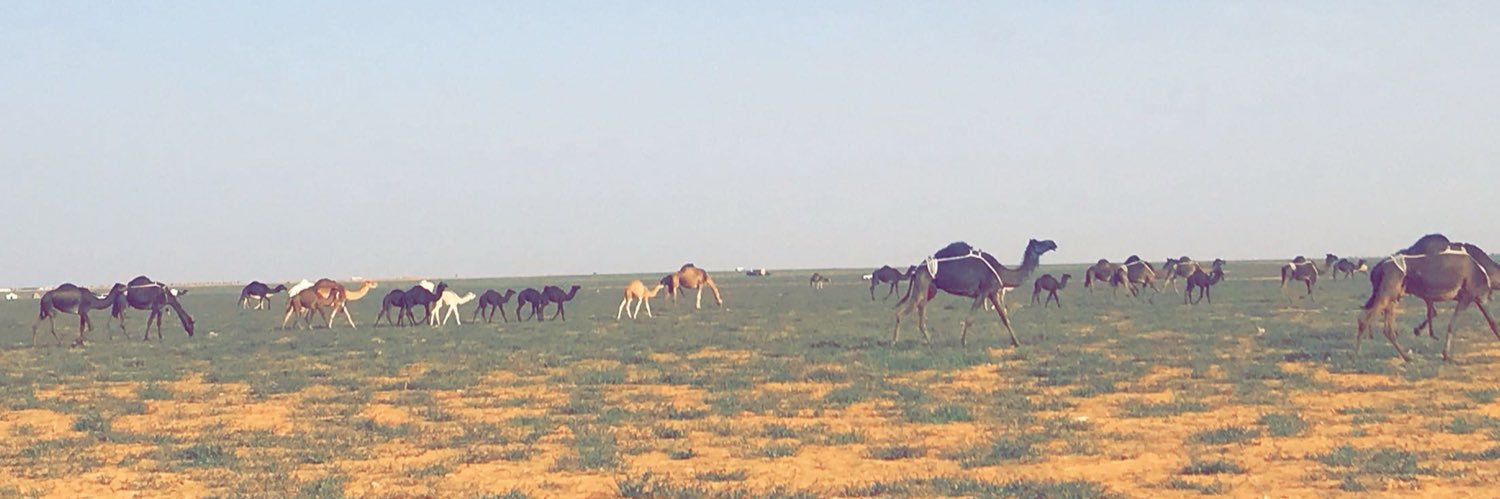 ثامـر الديحـاني banner