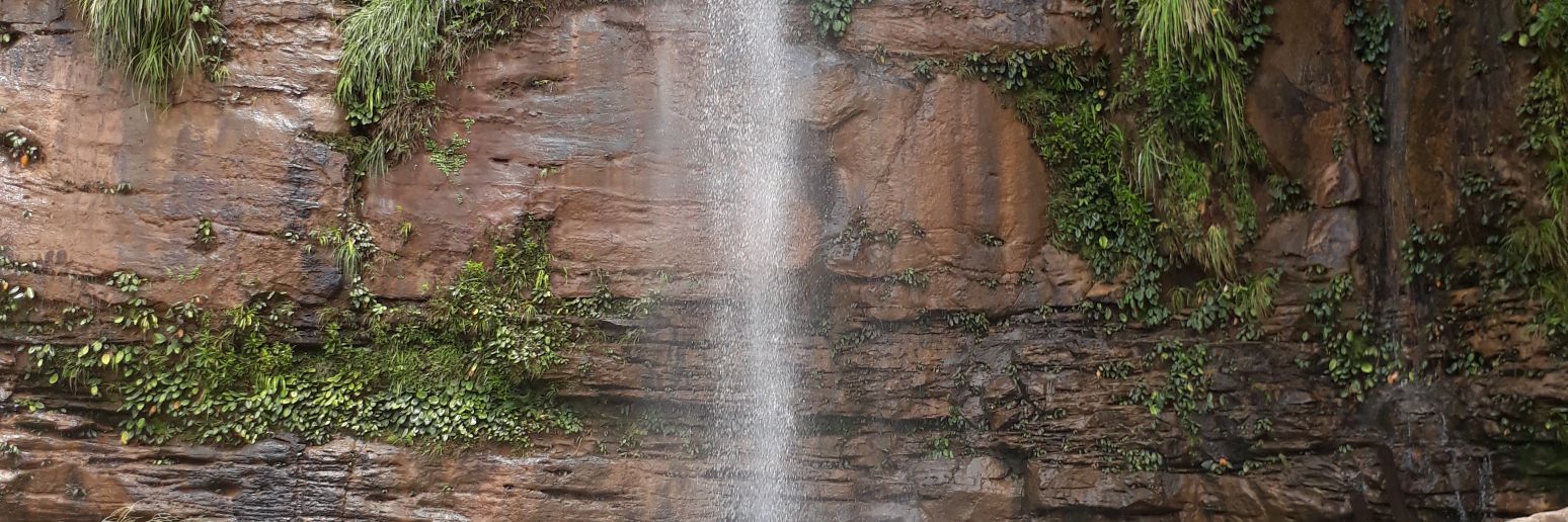 Aek Sipangolu banner