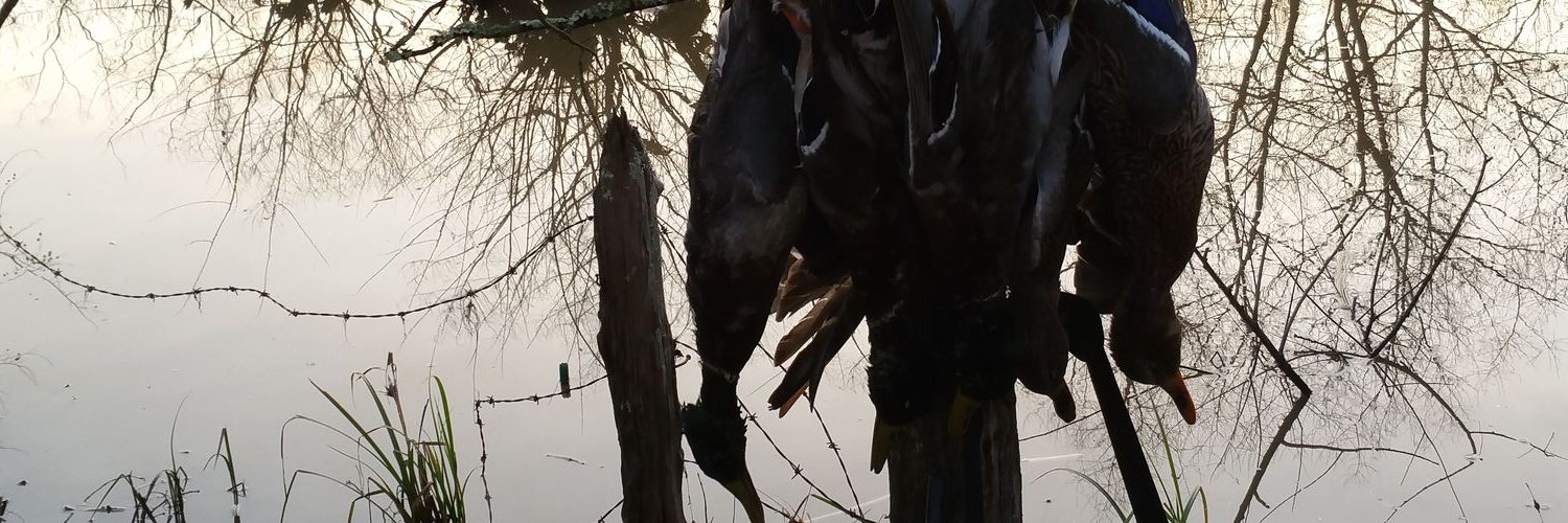 j_holley7's profile banner image