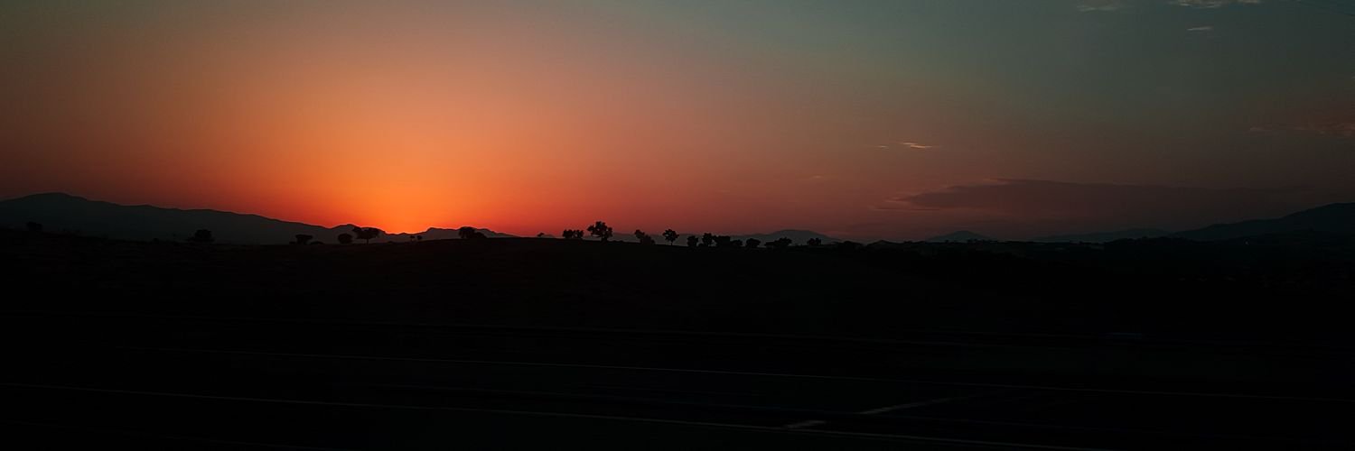 elmerfors's profile banner image
