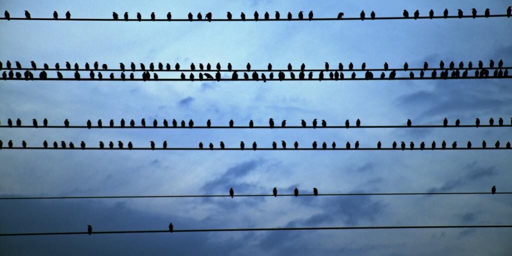 Ƞ₳₮ĦȺ₦ ĦɄ฿Ƀ₳ɌÐ banner