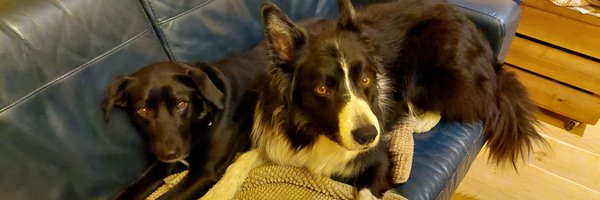 flossymacdoodle Profile Banner