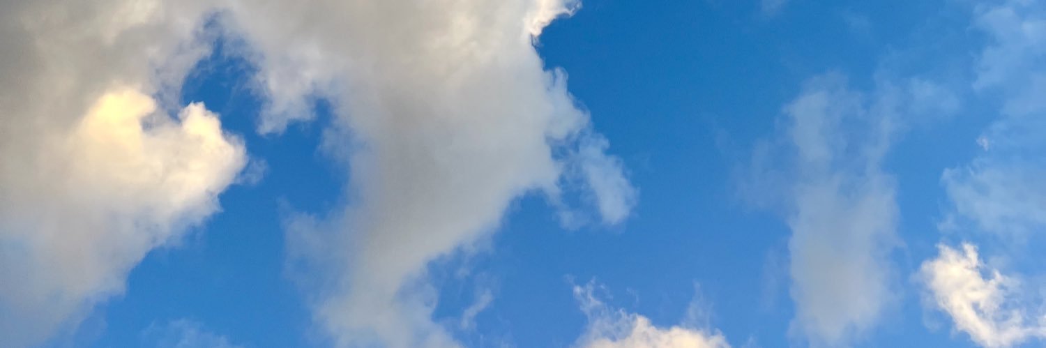 ✦ ro ✦✦✦ banner