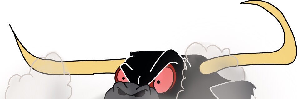 NFBagChaser's profile banner image