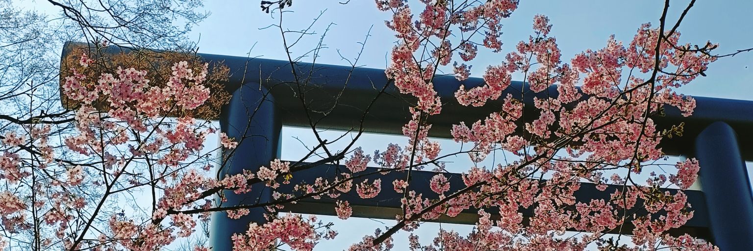 fndlymr's profile banner image