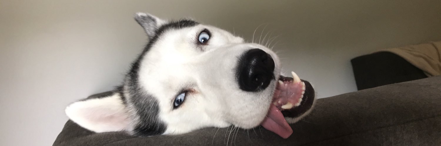 amberagrillo's profile banner image