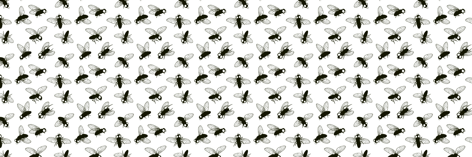 ICDeddBirds's profile banner image