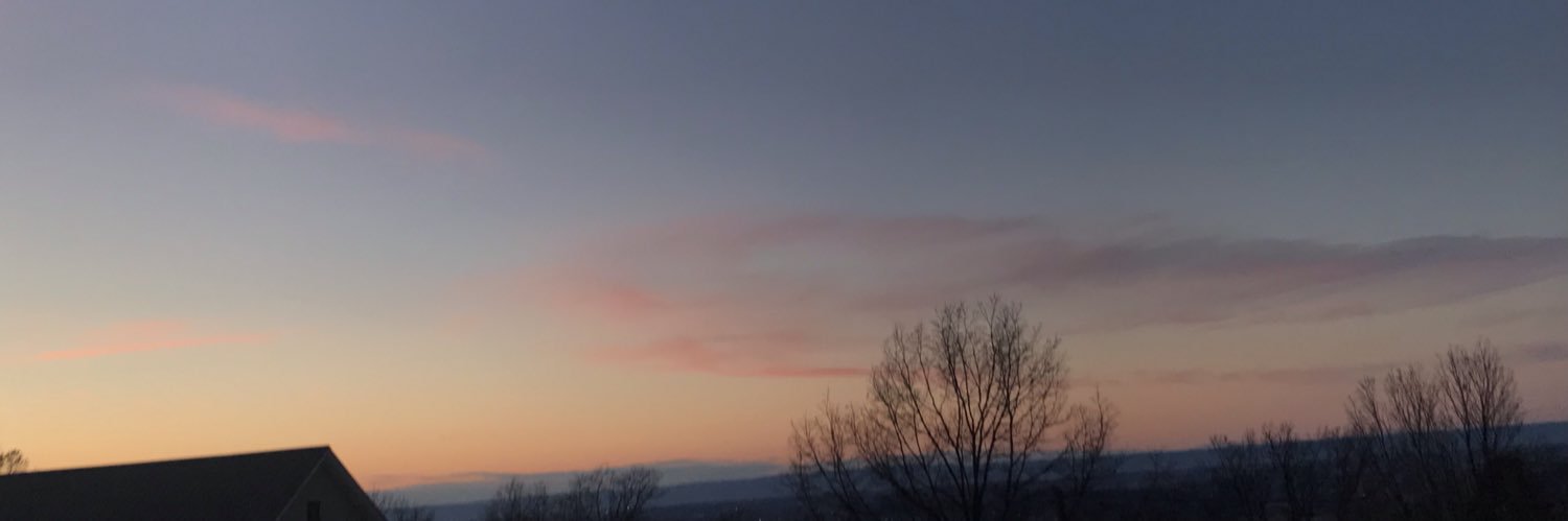 lillysofia_'s profile banner image