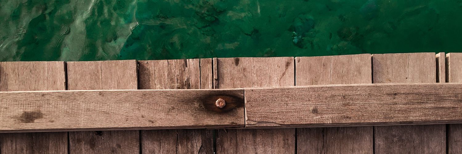 aldiandriawan1's profile banner image