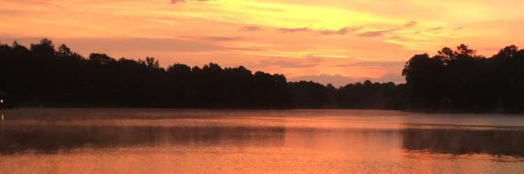 bstrahan_18's profile banner image
