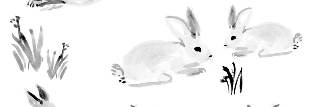 akra's profile banner image