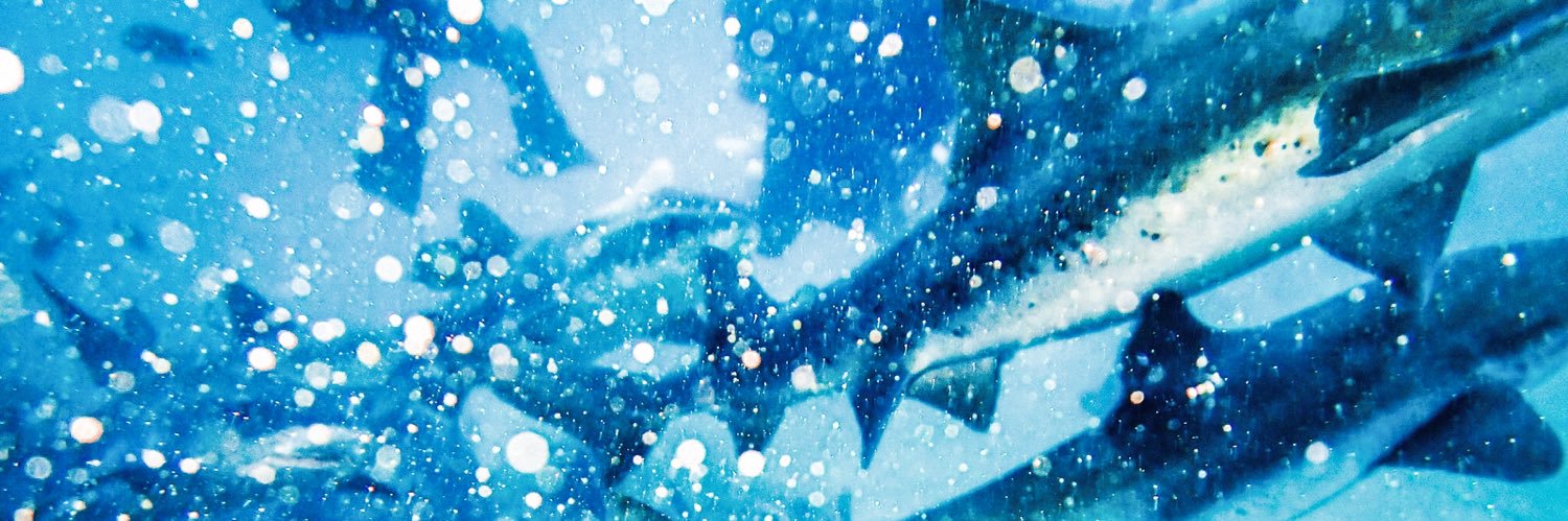 MYT_dam13's profile banner image