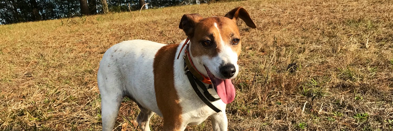 Landon Hughes banner