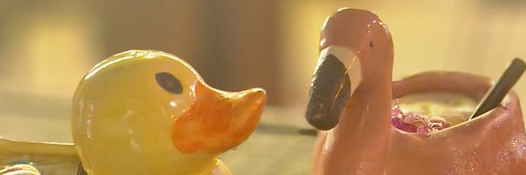 Sebastianlevy's profile banner image