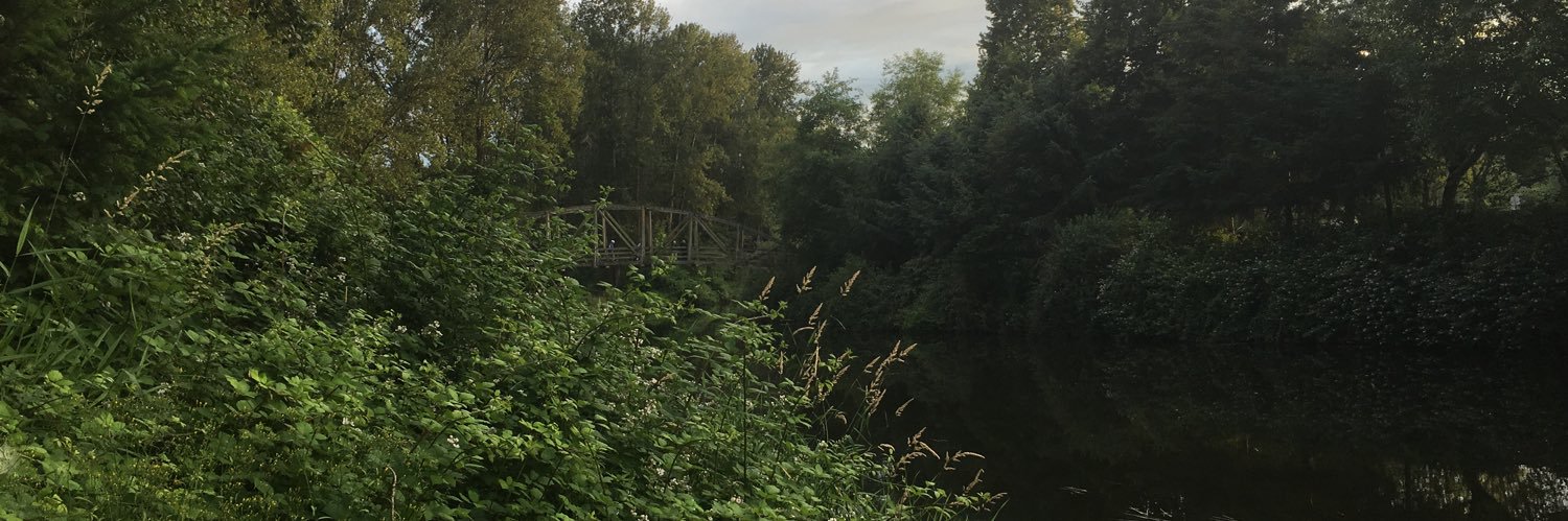 RulerOfRock's profile banner image