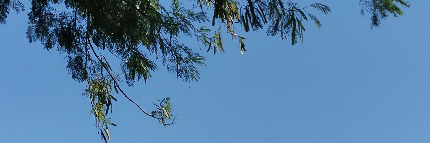 felipedogluiz's profile banner image