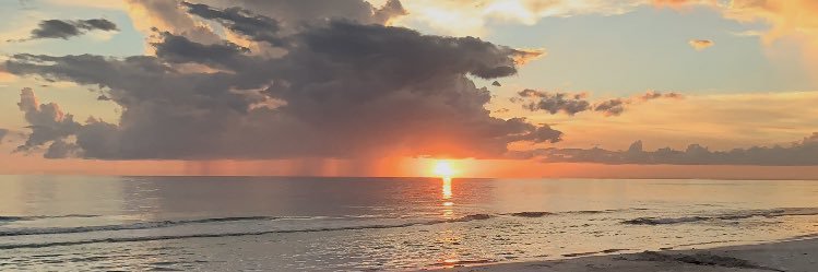 AlyssaMichlin's profile banner image
