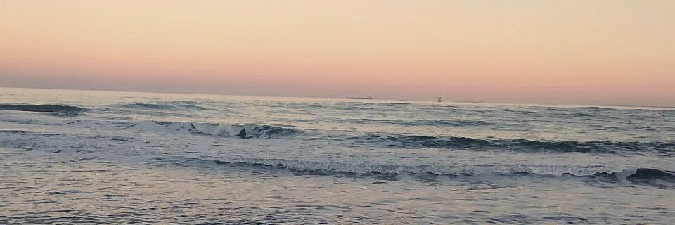 Ivan Todoroff banner