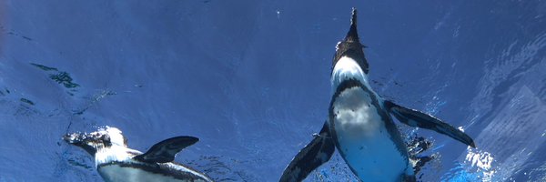 ikegai Profile Banner