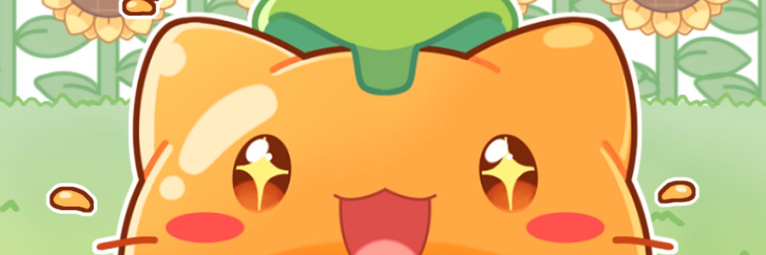Mango's banner