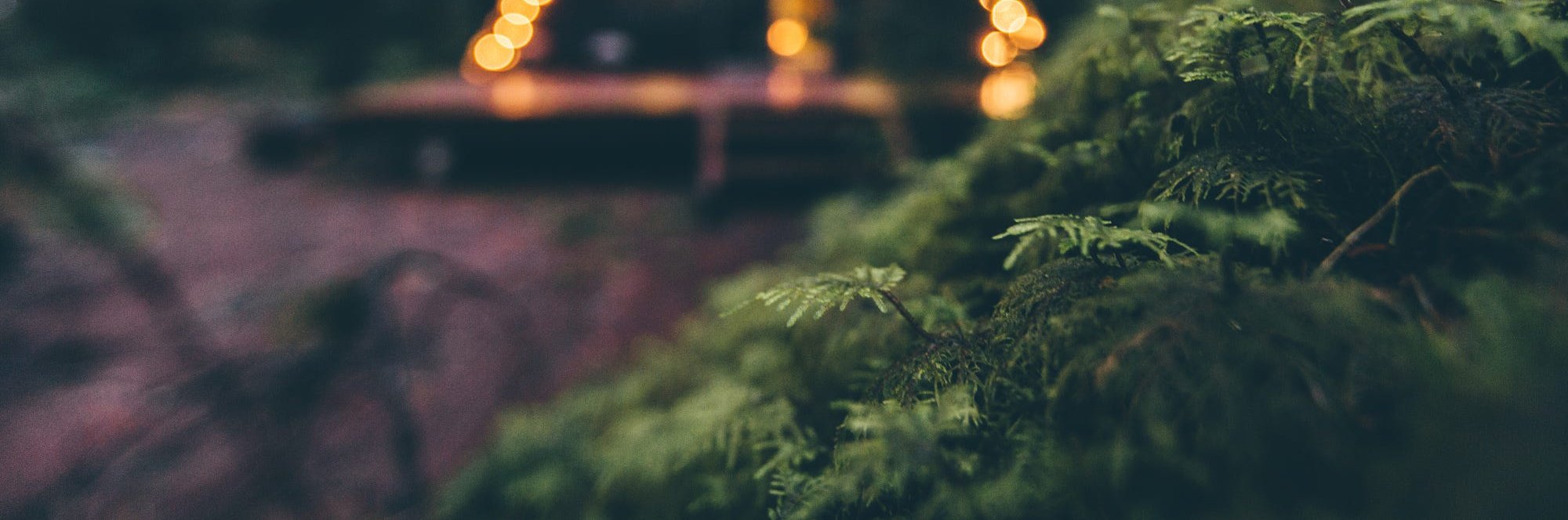 jessica a. m. banner