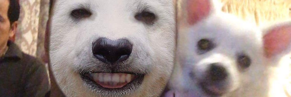 jasonnicolas09's profile banner image