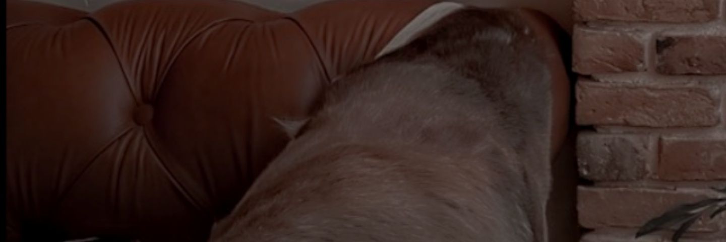 hniny82's profile banner image