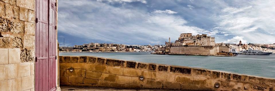 Edward Zammit-Lewis banner