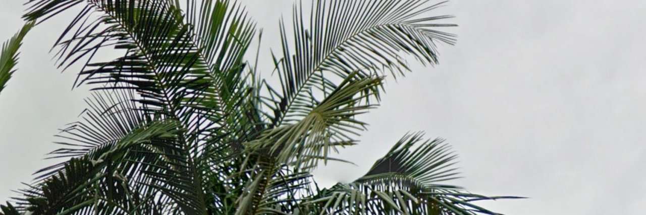 mmm_watchasei's profile banner image