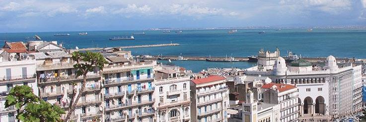 Amer OUALI banner