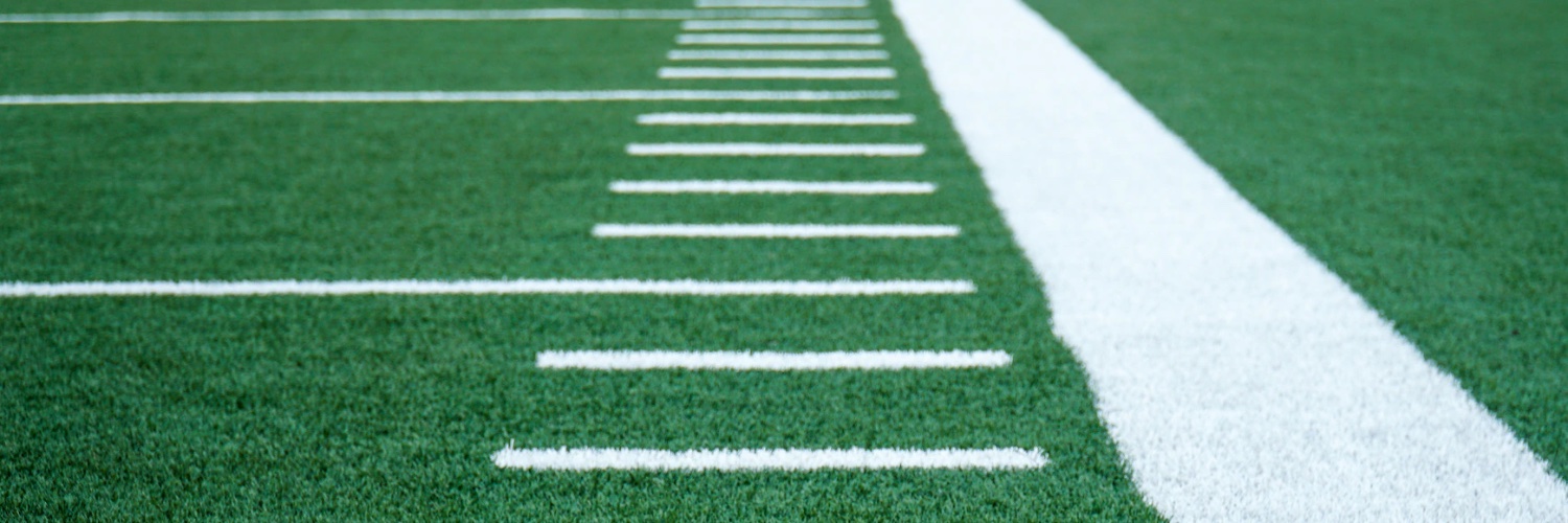 TED banner