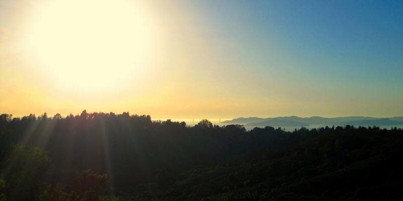 indoeditor's profile banner image