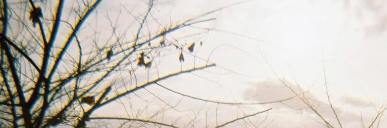 𝐚𝐨 banner