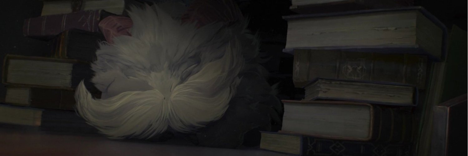 Селигерский фехтовальщик banner